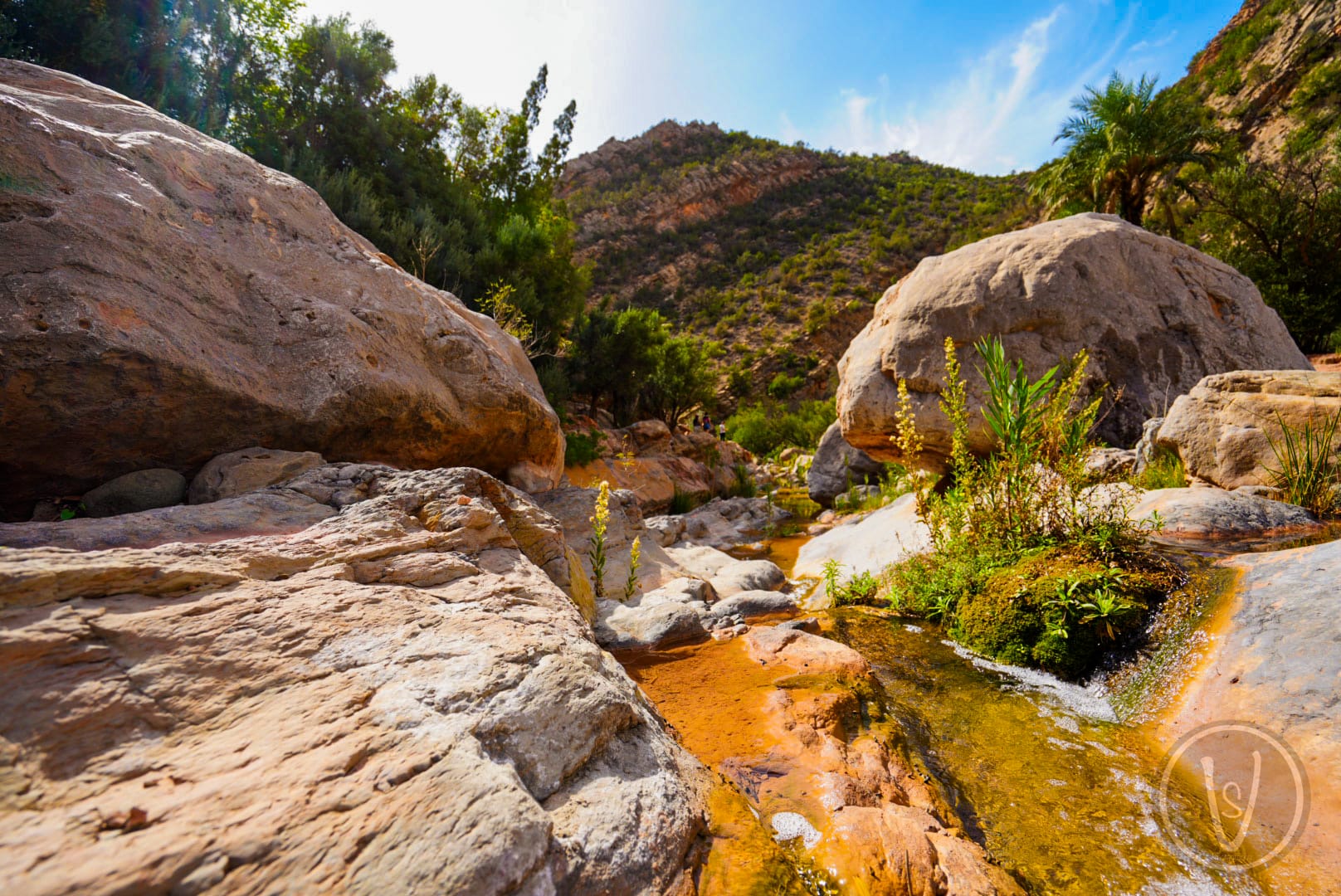 Hiking through Paradise Valley palm groves and rock formations